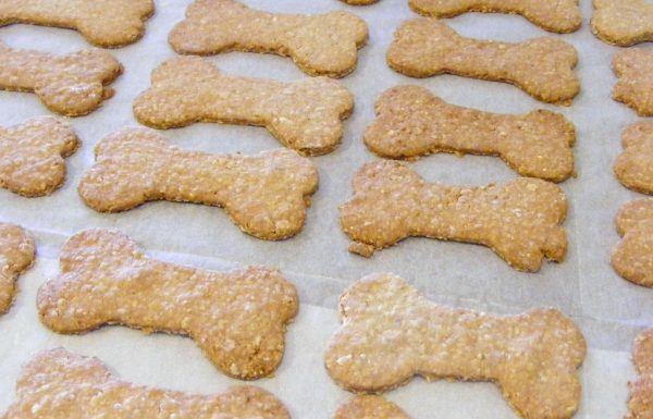 עוגיות לכלבים תוצרת בית כי לפליקס מגיע חטיפים בריאים וטעימים